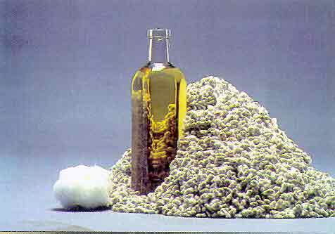 Cottonseed-Oil-Pictures.142140456_std
